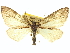  ( - CCDB-20267-B12)  @11 [ ] CreativeCommons - Attribution (2013) CBG Photography Group Centre for Biodiversity Genomics