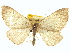  ( - CCDB-20267-C10)  @14 [ ] CreativeCommons - Attribution (2013) CBG Photography Group Centre for Biodiversity Genomics
