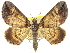  ( - CCDB-20267-D12)  @11 [ ] CreativeCommons - Attribution (2013) CBG Photography Group Centre for Biodiversity Genomics