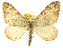  ( - CCDB-20267-F07)  @14 [ ] CreativeCommons - Attribution (2013) CBG Photography Group Centre for Biodiversity Genomics