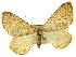  ( - CCDB-20267-G01)  @14 [ ] CreativeCommons - Attribution (2013) CBG Photography Group Centre for Biodiversity Genomics