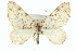  ( - CCDB-20268-B05)  @11 [ ] CreativeCommons - Attribution (2013) CBG Photography Group Centre for Biodiversity Genomics