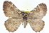  ( - CCDB-20268-C11)  @14 [ ] CreativeCommons - Attribution (2013) CBG Photography Group Centre for Biodiversity Genomics