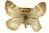  ( - CCDB-20268-E01)  @13 [ ] CreativeCommons - Attribution (2013) CBG Photography Group Centre for Biodiversity Genomics