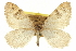  ( - CCDB-20268-E02)  @11 [ ] CreativeCommons - Attribution (2013) CBG Photography Group Centre for Biodiversity Genomics