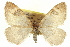  ( - CCDB-20268-E04)  @11 [ ] CreativeCommons - Attribution (2013) CBG Photography Group Centre for Biodiversity Genomics