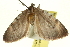  ( - CCDB-20268-E12)  @13 [ ] CreativeCommons - Attribution (2013) CBG Photography Group Centre for Biodiversity Genomics