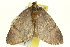  ( - CCDB-20268-F01)  @13 [ ] CreativeCommons - Attribution (2013) CBG Photography Group Centre for Biodiversity Genomics