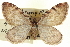  ( - CCDB-20268-G03)  @14 [ ] CreativeCommons - Attribution (2013) CBG Photography Group Centre for Biodiversity Genomics