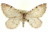  ( - CCDB-20268-G04)  @14 [ ] CreativeCommons - Attribution (2013) CBG Photography Group Centre for Biodiversity Genomics