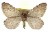  ( - CCDB-20268-G07)  @11 [ ] CreativeCommons - Attribution (2013) CBG Photography Group Centre for Biodiversity Genomics