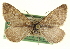  ( - CCDB-20269-B07)  @14 [ ] CreativeCommons - Attribution (2013) CBG Photography Group Centre for Biodiversity Genomics