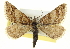  ( - CCDB-20269-B08)  @14 [ ] CreativeCommons - Attribution (2013) CBG Photography Group Centre for Biodiversity Genomics