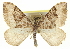  ( - CCDB-20269-B10)  @14 [ ] CreativeCommons - Attribution (2013) CBG Photography Group Centre for Biodiversity Genomics