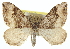  ( - CCDB-20269-B11)  @11 [ ] CreativeCommons - Attribution (2013) CBG Photography Group Centre for Biodiversity Genomics