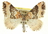  ( - CCDB-20269-C02)  @11 [ ] CreativeCommons - Attribution (2013) CBG Photography Group Centre for Biodiversity Genomics