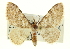  ( - CCDB-20269-E12)  @11 [ ] CreativeCommons - Attribution (2013) CBG Photography Group Centre for Biodiversity Genomics