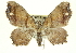  ( - CCDB-20269-G03)  @14 [ ] CreativeCommons - Attribution (2013) CBG Photography Group Centre for Biodiversity Genomics