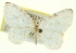  ( - CCDB-20269-H04)  @14 [ ] CreativeCommons - Attribution (2013) CBG Photography Group Centre for Biodiversity Genomics