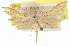  ( - CCDB-20274-B12)  @11 [ ] CreativeCommons - Attribution (2013) CBG Photography Group Centre for Biodiversity Genomics