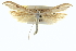  ( - CCDB-20274-C05)  @14 [ ] CreativeCommons - Attribution (2013) CBG Photography Group Centre for Biodiversity Genomics