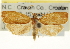  ( - CCDB-20275-E01)  @11 [ ] CreativeCommons - Attribution (2013) CBG Photography Group Centre for Biodiversity Genomics