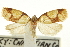  ( - CCDB-20275-E07)  @11 [ ] CreativeCommons - Attribution (2013) CBG Photography Group Centre for Biodiversity Genomics