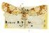  ( - CCDB-20275-E08)  @11 [ ] CreativeCommons - Attribution (2013) CBG Photography Group Centre for Biodiversity Genomics