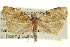  ( - CCDB-20275-E11)  @11 [ ] CreativeCommons - Attribution (2013) CBG Photography Group Centre for Biodiversity Genomics