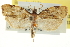  ( - CCDB-20275-E12)  @11 [ ] CreativeCommons - Attribution (2013) CBG Photography Group Centre for Biodiversity Genomics