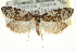  ( - CCDB-20277-A09)  @14 [ ] CreativeCommons - Attribution (2013) CBG Photography Group Centre for Biodiversity Genomics