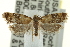  ( - CCDB-20277-D02)  @13 [ ] CreativeCommons - Attribution (2013) CBG Photography Group Centre for Biodiversity Genomics