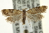  ( - CCDB-20277-D03)  @13 [ ] CreativeCommons - Attribution (2013) CBG Photography Group Centre for Biodiversity Genomics
