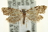  ( - CCDB-20277-D04)  @13 [ ] CreativeCommons - Attribution (2013) CBG Photography Group Centre for Biodiversity Genomics