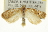  ( - CCDB-20277-E03)  @11 [ ] CreativeCommons - Attribution (2013) CBG Photography Group Centre for Biodiversity Genomics