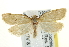  ( - CCDB-20277-E10)  @14 [ ] CreativeCommons - Attribution (2013) CBG Photography Group Centre for Biodiversity Genomics