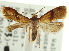  ( - CCDB-20277-G09)  @11 [ ] CreativeCommons - Attribution (2013) CBG Photography Group Centre for Biodiversity Genomics