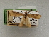  ( - CCDB-20277-H08)  @11 [ ] CreativeCommons - Attribution (2013) CBG Photography Group Centre for Biodiversity Genomics