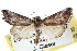  ( - CCDB-20821-E02)  @13 [ ] CreativeCommons - Attribution (2013) CBG Photography Group Centre for Biodiversity Genomics