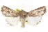  ( - CCDB-20821-F12)  @11 [ ] CreativeCommons - Attribution (2013) CBG Photography Group Centre for Biodiversity Genomics