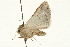  ( - CCDB-20821-G03)  @11 [ ] CreativeCommons - Attribution (2013) CBG Photography Group Centre for Biodiversity Genomics