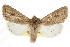 ( - CCDB-20821-G05)  @11 [ ] CreativeCommons - Attribution (2013) CBG Photography Group Centre for Biodiversity Genomics