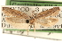  ( - CCDB-23272-B12)  @11 [ ] CreativeCommons - Attribution (2014) CBG Photography Group Centre for Biodiversity Genomics