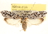  ( - CCDB-23272-G03)  @15 [ ] CreativeCommons - Attribution (2014) CBG Photography Group Centre for Biodiversity Genomics