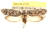  ( - CCDB-23272-G05)  @14 [ ] CreativeCommons - Attribution (2014) CBG Photography Group Centre for Biodiversity Genomics
