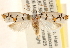  ( - CCDB-23272-H08)  @11 [ ] CreativeCommons - Attribution (2014) CBG Photography Group Centre for Biodiversity Genomics
