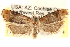  ( - CCDB-22956-E03)  @14 [ ] CreativeCommons - Attribution (2014) CBG Photography Group Centre for Biodiversity Genomics