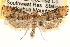  ( - CCDB-22956-E04)  @14 [ ] CreativeCommons - Attribution (2014) CBG Photography Group Centre for Biodiversity Genomics