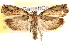  ( - CCDB-22956-F02)  @13 [ ] CreativeCommons - Attribution (2014) CBG Photography Group Centre for Biodiversity Genomics