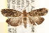  ( - CCDB-22956-G06)  @13 [ ] CreativeCommons - Attribution (2014) CBG Photography Group Centre for Biodiversity Genomics